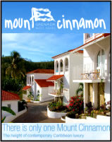 Welcome to Mount Cinnamon 