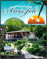 Hotel le Bois Joli 